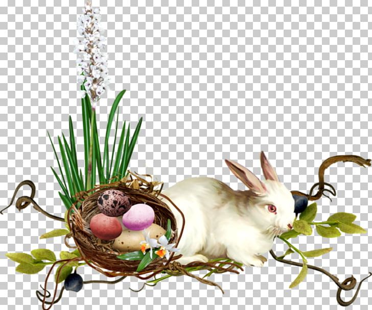Easter Bunny PNG, Clipart, Blog, Christmas, Christmas Ornament, Domestic Rabbit, Easter Free PNG Download