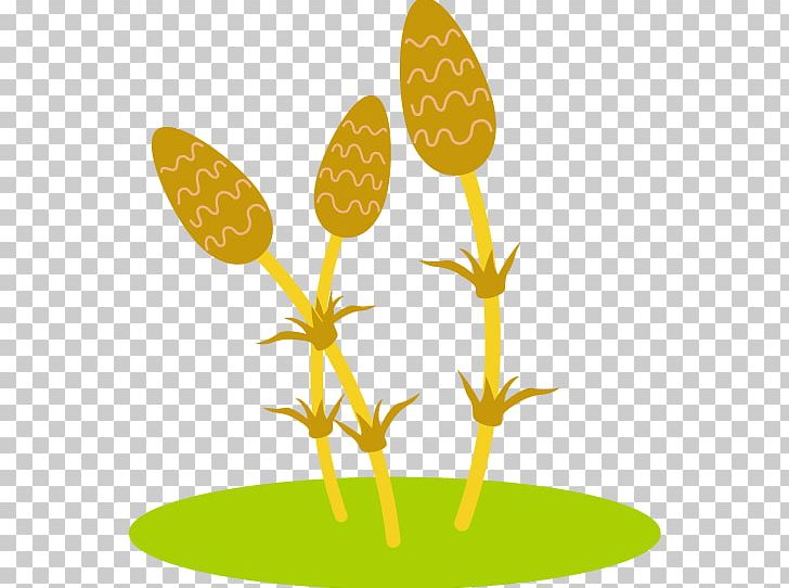 Illustration Of Left-facing Tsukushi And Green Gra PNG, Clipart, Bear, Branch, Commodity, Flora, Flower Free PNG Download