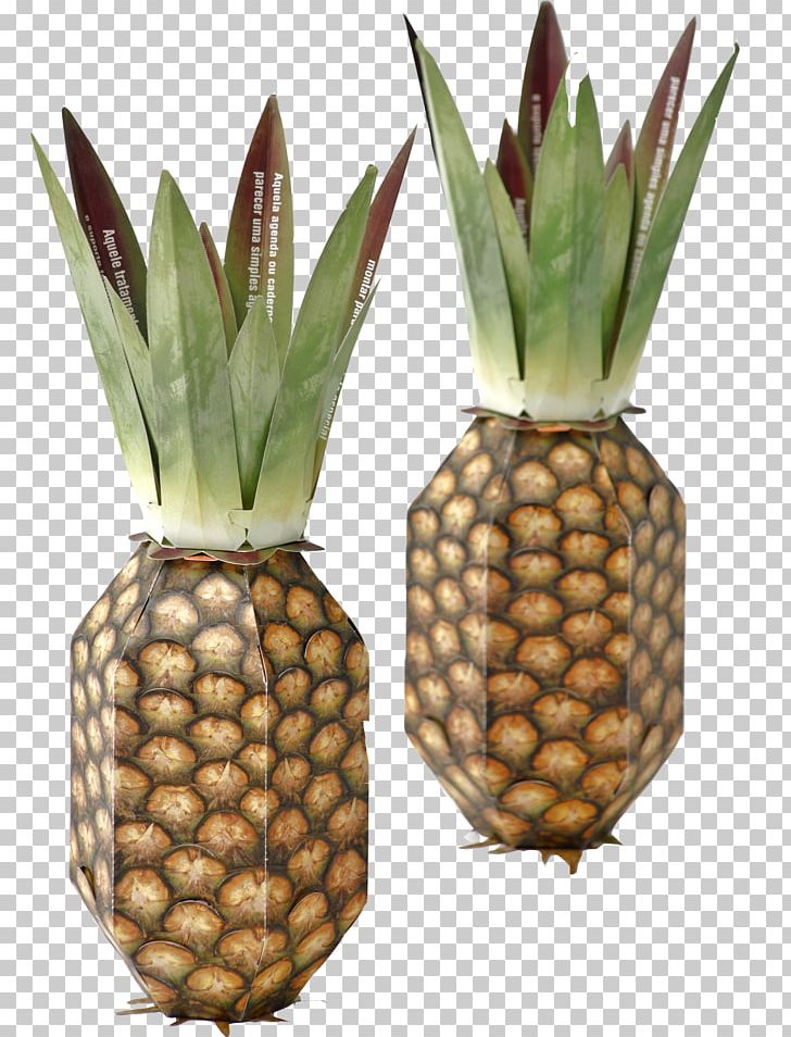 Pineapple Corgraf Graphic Design Corporate Design PNG, Clipart, Abaca, Ananas, Award, Brazil, Bromeliaceae Free PNG Download