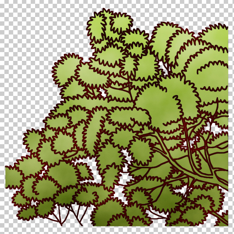 Leaf Flower Green Pattern Shrub PNG, Clipart, Biology, Flower, Green, Leaf, Mtree Free PNG Download