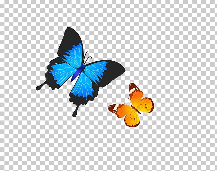 Butterfly PNG, Clipart, Blue, Brush Footed Butterfly, Butterflies, Butterfly Group, Color Free PNG Download