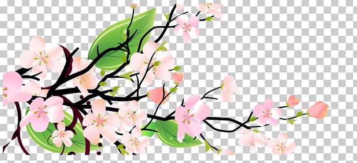 Floral Design Plum Blossom PNG, Clipart, Blossom, Branch, Chinese Lantern, Chinese Style, Euclidean Vector Free PNG Download