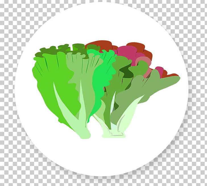 Mesclun Vinaigrette Vegetarian Cuisine Lettuce Leaf Vegetable PNG, Clipart, Endive, Food, Freshbox Farms, Grass, Green Free PNG Download