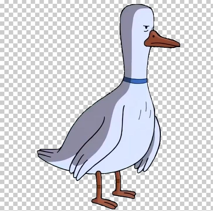 Domestic Goose Boobafina Duck Mallard PNG, Clipart, Adventure Time, Animals, Beak, Bird, Boobafina Free PNG Download