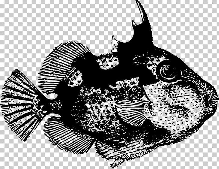 Drawing Starry Triggerfish PNG, Clipart, Abalistes, Acanthopagrus, Animals, Black And White, Crown Free PNG Download