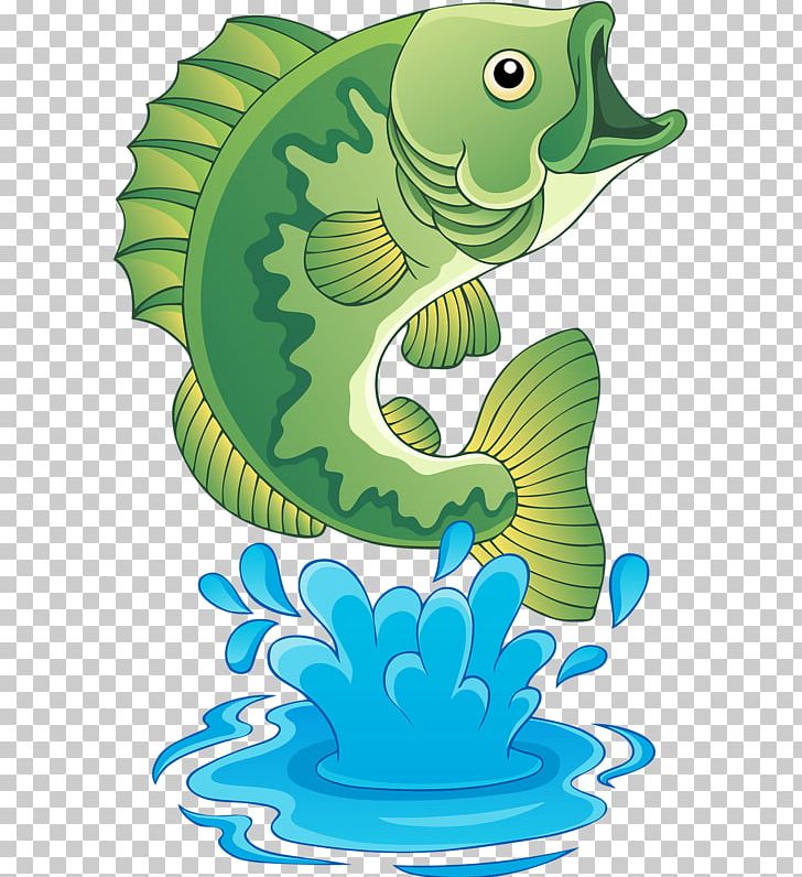 Freshwater Fish Bass PNG, Clipart, Amphibian, Animals, Bass, Cartoon, Drawing Free PNG Download