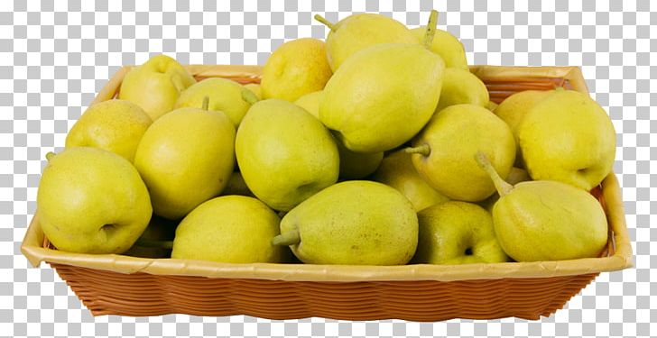 Xinjiang Pyrus Nivalis Pyrus Xd7 Sinkiangensis Asian Pear Fruit PNG, Clipart, Asian Pear, Auglis, Designer, Diagram, Download Free PNG Download