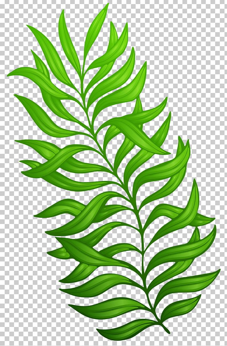 Plant Flower PNG, Clipart, Bit, Branch, Clivia, Computer Icons, Cut Flowers Free PNG Download
