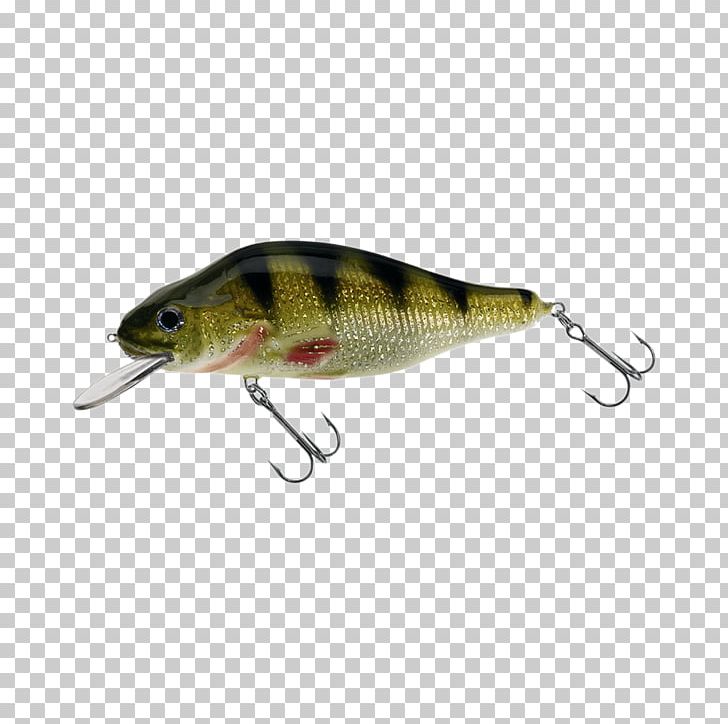 Plug Perch Fishing Baits & Lures Northern Pike PNG, Clipart, Bait, Bony Fish, Fish, Fishing, Fishing Bait Free PNG Download