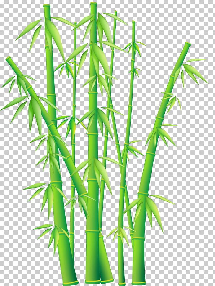 Others Plant Stem Grass PNG, Clipart, Bamboo, Bamboo Textile, Bambusodae, Clip Art, Download Free PNG Download