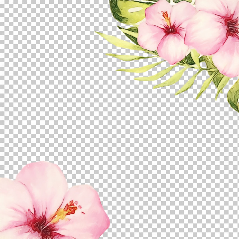 Floral Design PNG, Clipart, Annual Plant, Computer, Cut Flowers, Floral Design, Flower Free PNG Download