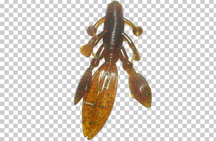 Animal Source Foods Insect Pest Decapods PNG, Clipart, Animal Source Foods, Decapoda, Food, Insect, Insect Wing Free PNG Download