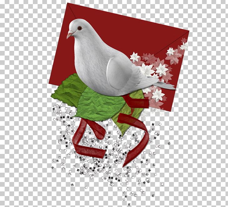 Beak Christmas Ornament Love Letter PNG, Clipart, Art, Beak, Bird, Christmas, Christmas Ornament Free PNG Download
