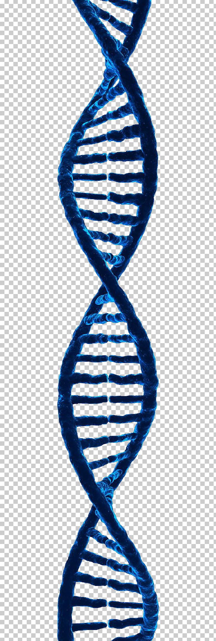 DNA 3D Rendering 3D Computer Graphics PNG, Clipart, 3d Computer Graphics, Electric Blue, Free Logo Design Template, Guanosine Triphosphate, Helix Free PNG Download