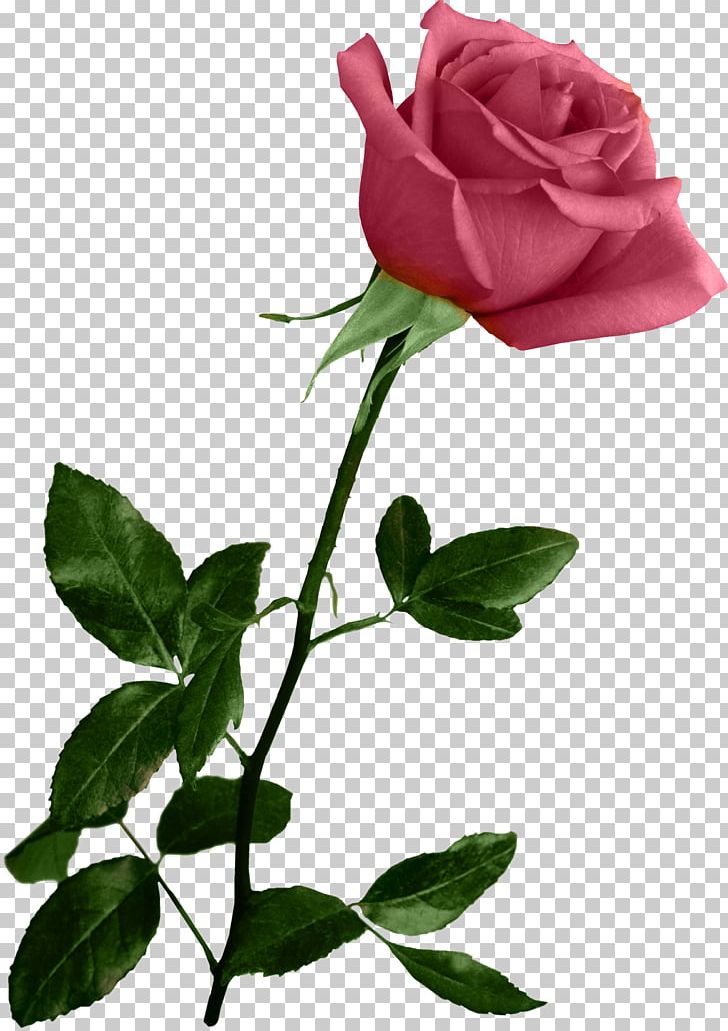 Flower Art Low Poly PNG, Clipart, Branch, China Rose, Color, Cut Flowers, Digital Art Free PNG Download