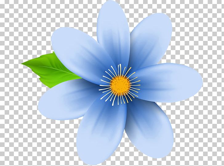 Flower Blue Desktop PNG, Clipart, Art, Art Museum, Blue, Computer Wallpaper, Daisy Family Free PNG Download