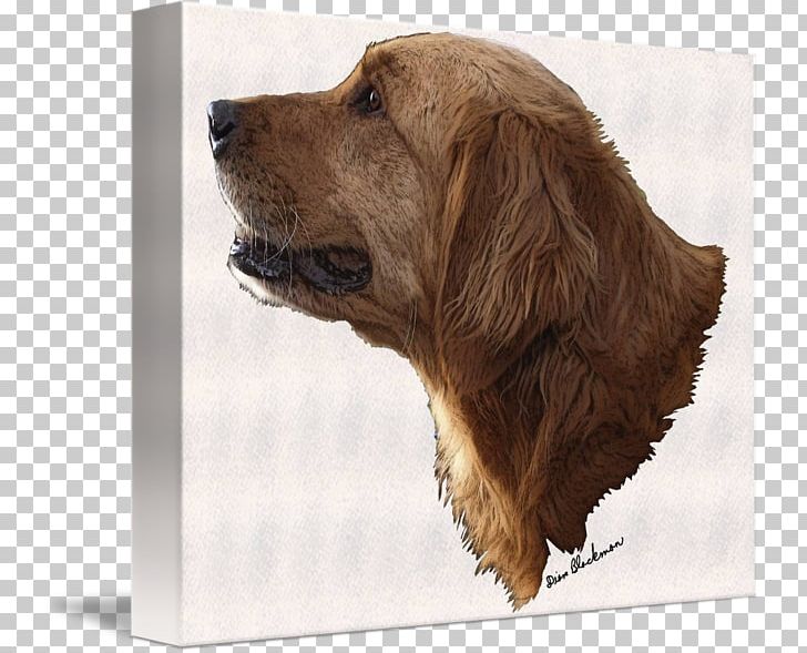 Golden Retriever Sussex Spaniel English Cocker Spaniel Dog Breed Pet PNG, Clipart, Animals, Breed Group Dog, Canidae, Carnivora, Carnivoran Free PNG Download