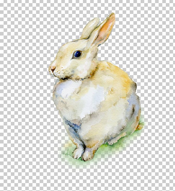 Holland Lop Easter Bunny Watercolor Painting Rabbit PNG, Clipart, Animals, Art, Bunnies Rabbits, Domestic Rabbit, Drawing Free PNG Download