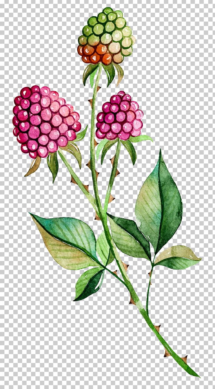 Painting Poster PNG, Clipart, Art, Berries, Branch, Dahlia, Encapsulated Postscript Free PNG Download