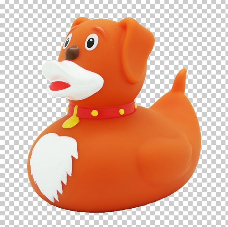 Rubber Duck Toy Natural Rubber Bathtub PNG, Clipart, Amsterdam Duck Store, Anatini, Animals, Bathing, Beak Free PNG Download