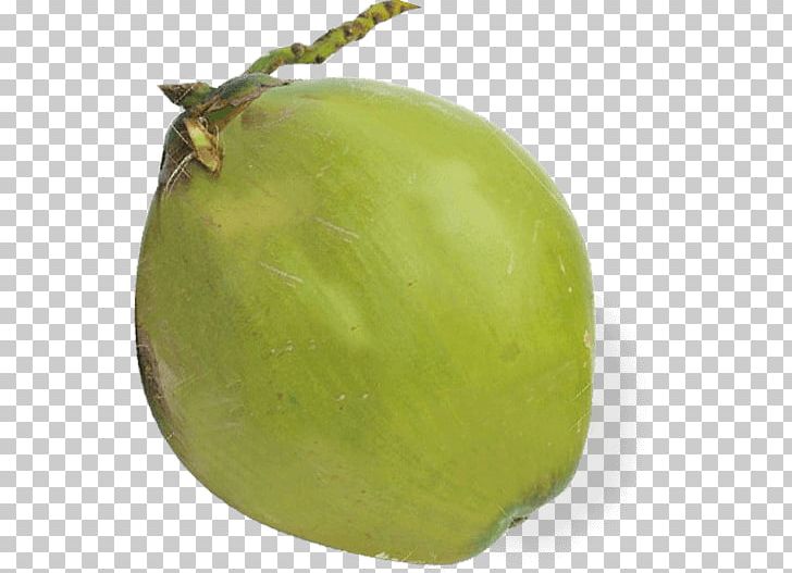 Tomatillo Fruit PNG, Clipart, Coconut Husk, Food, Fruit, Tomatillo Free PNG Download