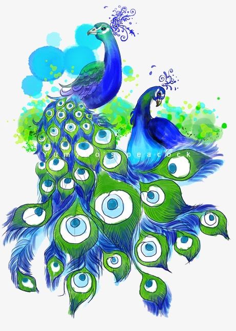 Beautiful Peacock PNG, Clipart, Animal, Animal Peacock Feathers, Beautiful Clipart, Birds, Blue Free PNG Download