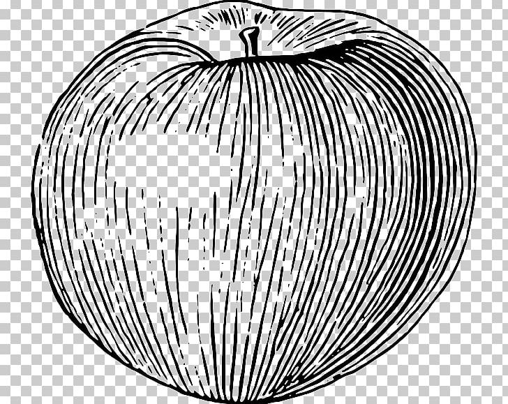 Candy Apple Caramel Apple PNG, Clipart, Apple, Apples, Black And White, Candy Apple, Candy Apple Red Free PNG Download