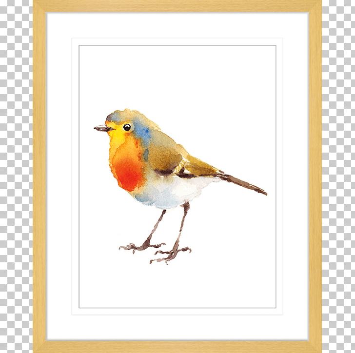European Robin Bird Watercolor Painting Drawing PNG, Clipart, Art, Artist, Beak, Bird, Drawing Free PNG Download