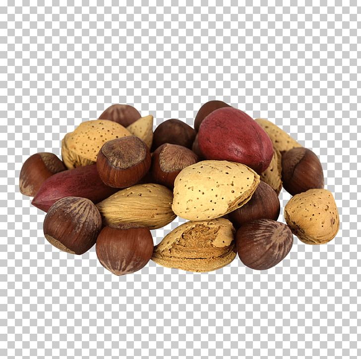 Hazelnut Praline Mixed Nuts Tree Nut Allergy Chocolate PNG, Clipart, Chocolate, Food, Hazelnut, Ingredient, Mixed Nuts Free PNG Download