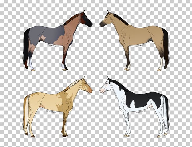 Mule Foal Mustang Donkey Halter PNG, Clipart,  Free PNG Download