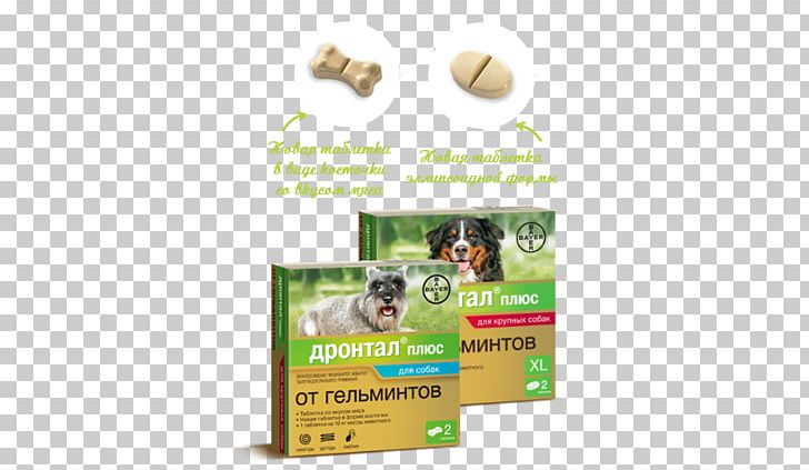 Dog Pharmaceutical Drug Bayer Tablet Disease PNG, Clipart, Advertising, Animals, Bayer, Bayer Healthcare, Brand Free PNG Download