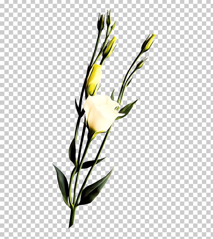 Flower Icon PNG, Clipart, Black White, Branch, Encapsulated Postscript, Flower, Flower Arranging Free PNG Download