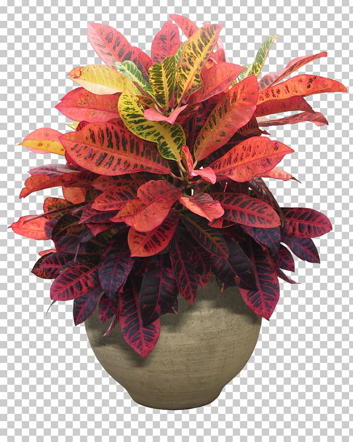 Houseplant Flowerpot PNG, Clipart, Artificial Flower, Computer Graphics, Cut Flowers, Encapsulated Postscript, Floral Design Free PNG Download