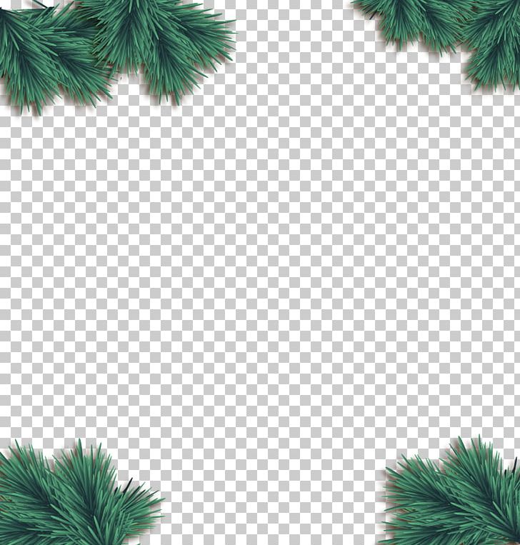Christmas Euclidean Pine PNG, Clipart, Branch, Christmas Border, Christmas Decoration, Conifer, Conifers Free PNG Download