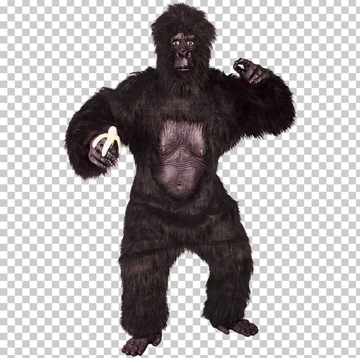 Gorilla Suit Costume Party Ape PNG, Clipart, Adult, Animals, Ape, Chimpanzee, Common Chimpanzee Free PNG Download