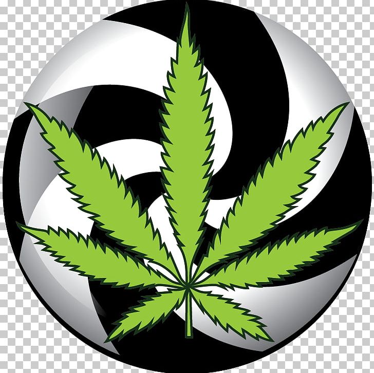 Medical Cannabis Kush Logo Cannabis Shop PNG, Clipart, Cannabis, Cannabis Shop, Dispensary, Graphic Design, Hemp Free PNG Download