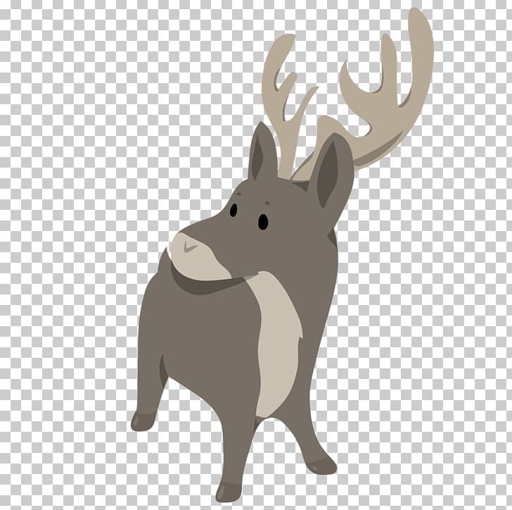 Reindeer Melville Island PNG, Clipart, Arctic, Arctic Wolf, Canidae, Caribou, Cartoon Free PNG Download