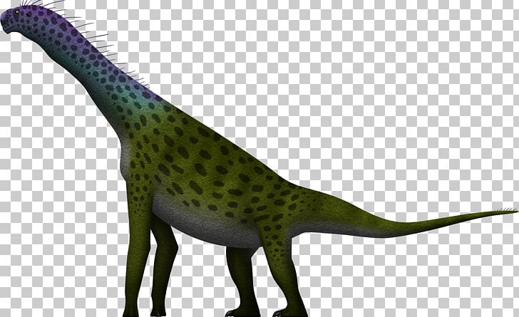 Atlasaurus Sauropoda Allosaurus Barosaurus Brachiosaurus PNG, Clipart, Allosaurus, Amphicoelias, Animal Figure, Atlasaurus, Barosaurus Free PNG Download