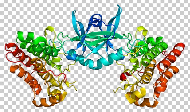 TEK Tyrosine Kinase Receptor Tyrosine Kinase Angiopoietin Receptor PNG, Clipart, Angiopoietin, Cluster Of Differentiation, Gene, Her2neu, Kinase Free PNG Download