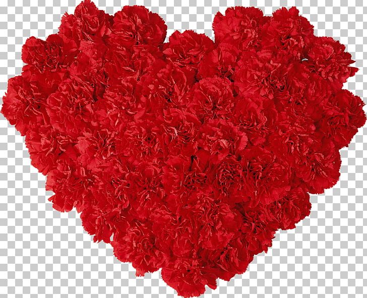 Carnation Dianthus Chinensis Flower Petal Rose PNG, Clipart, Artificial Flower, Carnation, Cut Flowers, Dianthus Chinensis, Flower Free PNG Download