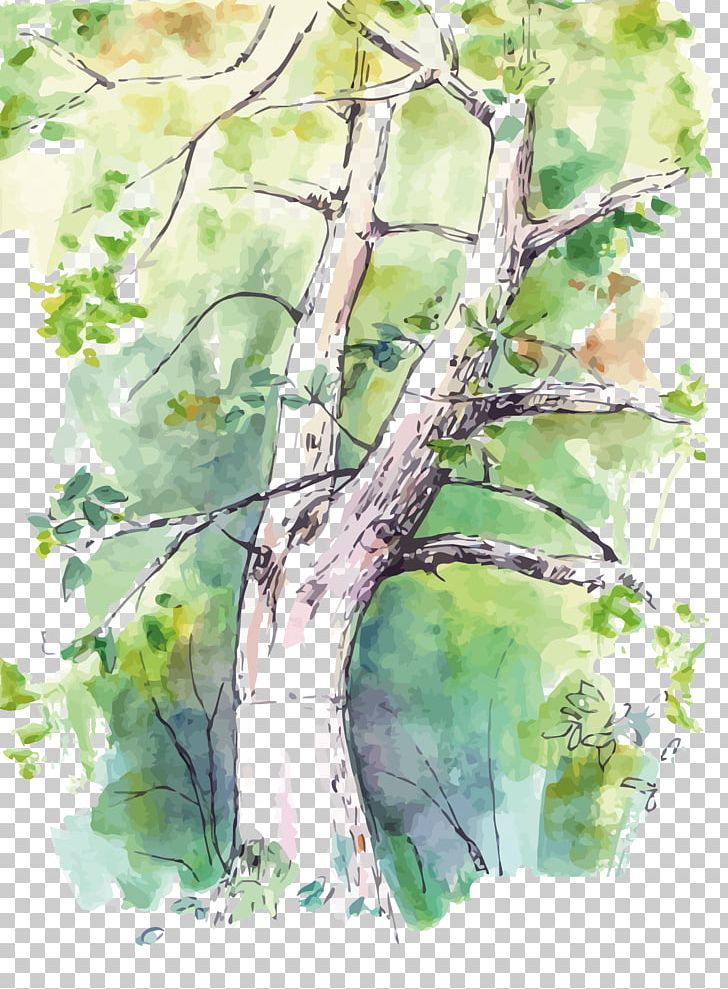 Watercolor Painting Birch Twig Tree PNG, Clipart, Art, Branch, Color, Happy Birthday Vector Images, Paint Free PNG Download
