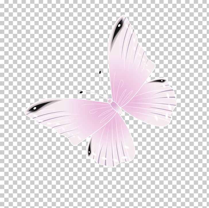 Butterfly Pink PNG, Clipart, Animal, Animals, Butterflies, Color, Computer Free PNG Download