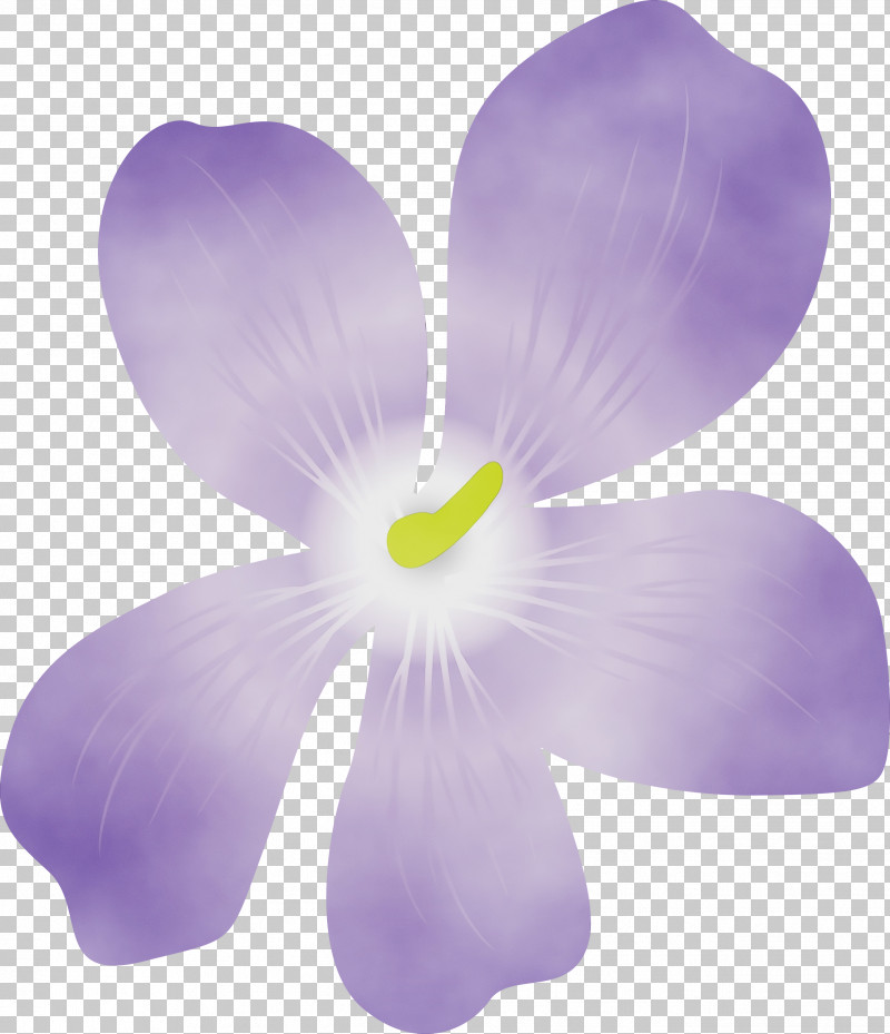 Lavender PNG, Clipart, Biology, Lavender, Paint, Petal, Plants Free PNG Download