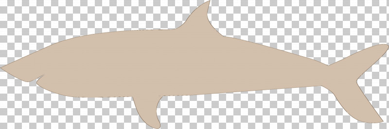 Shark PNG, Clipart, Cartoon, Cetaceans, Dolphin, Porpoise, Shark Free PNG Download
