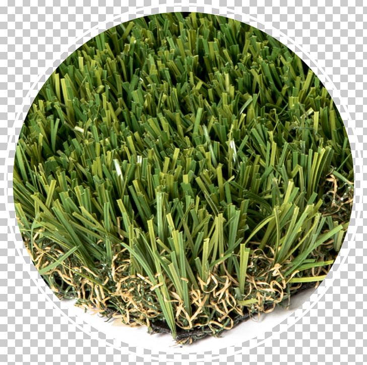 Artificial Turf Lawn Mowers Football PNG, Clipart, Artificial Turf, Com, Commodity, Football, Game Free PNG Download
