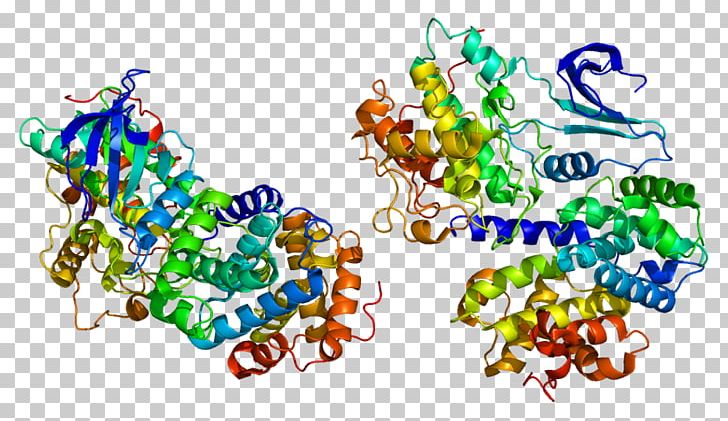 Cyclin A2 Protein Cyclin-dependent Kinase Gene PNG, Clipart, 1 E, Area, Art, Body Jewelry, Ccna Free PNG Download