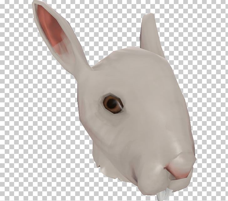 Domestic Rabbit Snout Nose PNG, Clipart, Domestic Rabbit, F 4 F 4, File, Hare, Head Free PNG Download