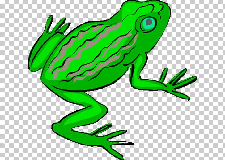 Frog Decameter Amphibians PNG, Clipart, Amphibian, Amphibians, Animal Figure, Animals, Artwork Free PNG Download