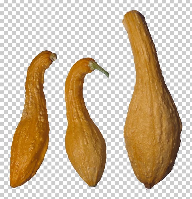 Pattypan Squash Zucchini Butternut Squash Summer Squash Crookneck Squash PNG, Clipart, Crookneck Pumpkin, Cucurbita, Cucurbita Pepo, Delicious, Food Free PNG Download