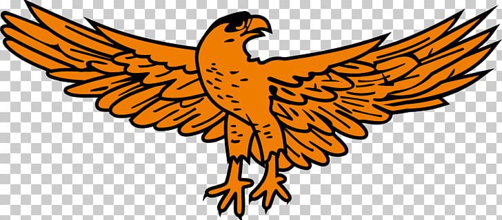 Flag Of Zambia Eagle PNG, Clipart, Animals, Artwork, Beak, Bird, Clip Art Free PNG Download
